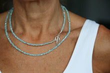 Load image into Gallery viewer, AQUA